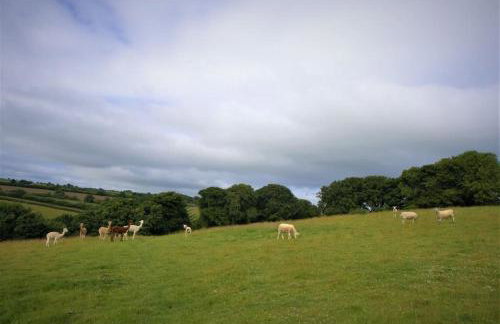 Ta Mill Cottages & Lodges - Meadowview Chalet 3 - Foto 34