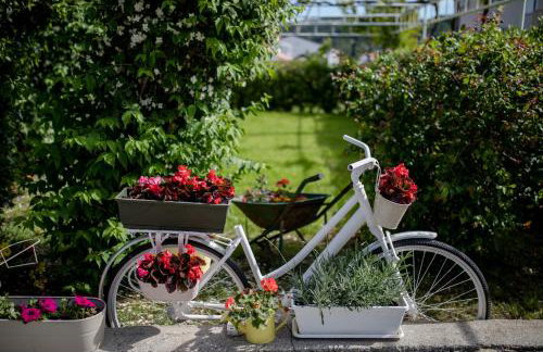 Apartmani Ana & Milo - Foto 9