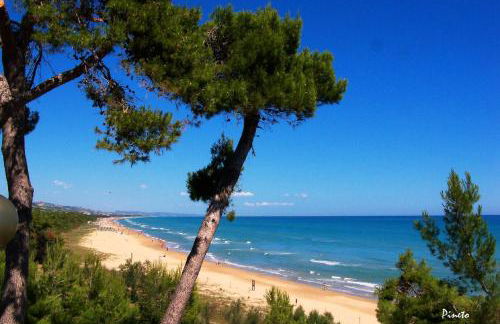 Ficus 2 Pineto Vacanza - Foto 11