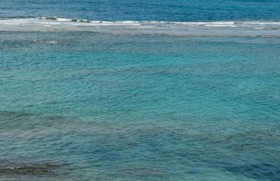 Chez Abel - Photo 29