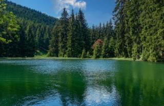 Gasthaus und Pension Zur Libelle - Foto 9