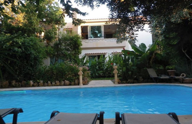 Kritos Apartments With Two Bedrooms - Photo 15