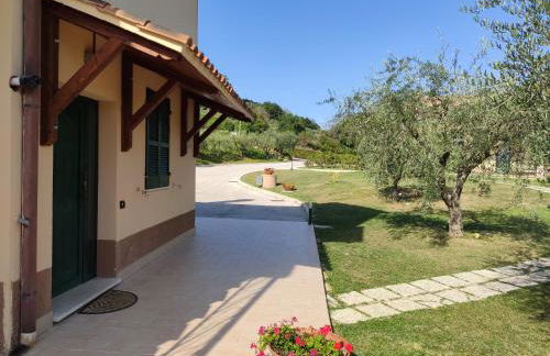 Le Vigne di Clementina Fabi - Foto 23