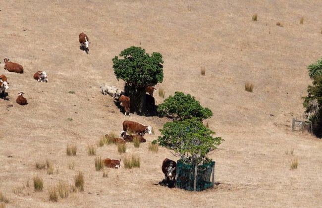 Trekking nel Parco Regionale di Duder - Foto 4