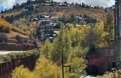 Marriott Summit Watch 1BD - Photo 35