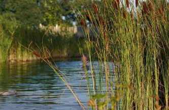 Traumkrone Ferienwohnungen - Himmelblau - Foto 12