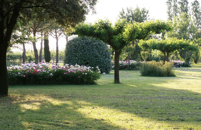 Furry Frinds With Family Home - Photo 32