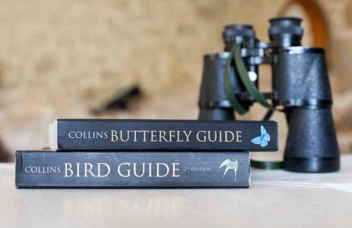 La Bastoulie near Cordes-sur-Ciel - Foto 40