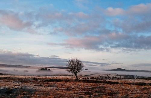 Beech Tree Cottage At Blackaton Manor Farm - Foto 27