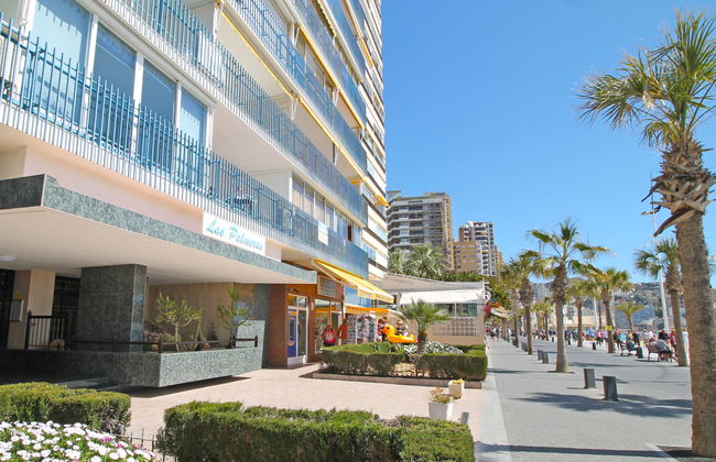 Las Palmeras - Foto 19