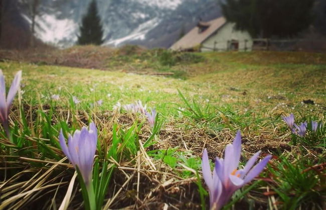 Agriturismo Pian Dei Tass - Foto 28