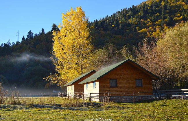 Farma Sotira - Foto 63