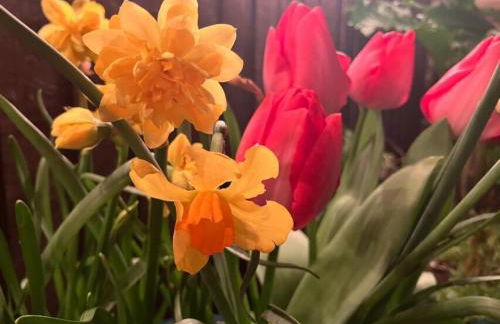 Entire 1bed Studio With Ensuite, Balcony & Parking - Foto 42