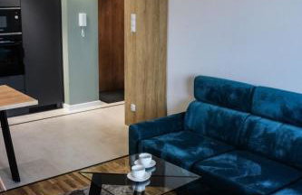 D Apartments Centrum Prowiantowa II - Photo 11