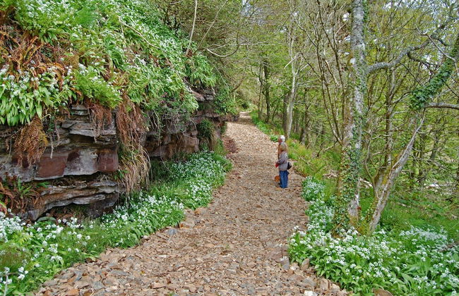 Orroland Lodge - Foto 27