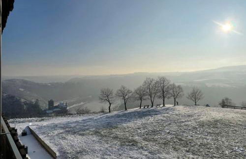 #2 Studioapartment mit Loreleyblick direkt an der schönsten Etappe des Rheinsteigs - Foto 16