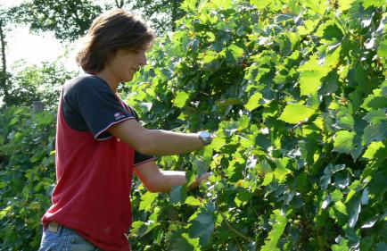 Agriturismo Tenuta Le Sorgive - Foto 73