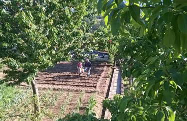 Casa Fasano Amalfi Coast - Foto 51