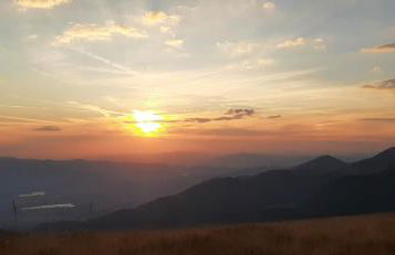 La tana del lupo Pet Free - Foto 20