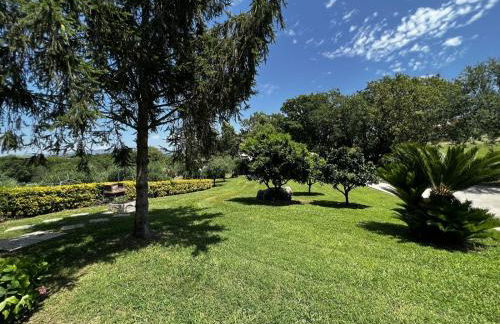 Livingapple - Foto 21