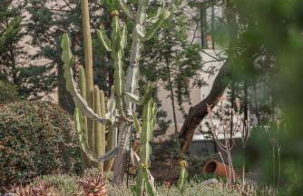 The Beach House - Foto 35