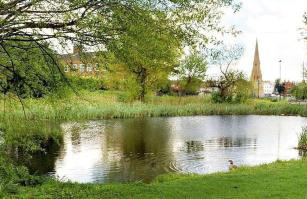 Elegant & spacious parkside 2-bedroom 2-bathroom flat in period building facing Blackheath - parking, great Greenwich location, easy for O2 Arena and City, very near Marathon start line! - Foto 28