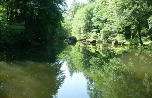 Moulin de Record - Foto 40