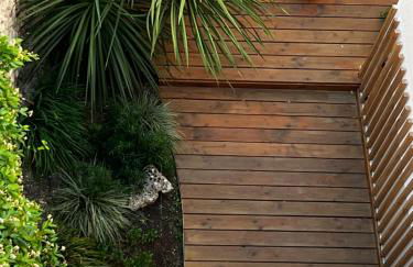 Lily l'Acrobate Aubagne-Cassis-Aix en Provence - Foto 50