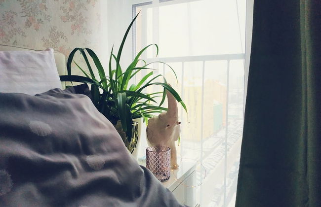 MalinaApt Pink Olive - Foto 17