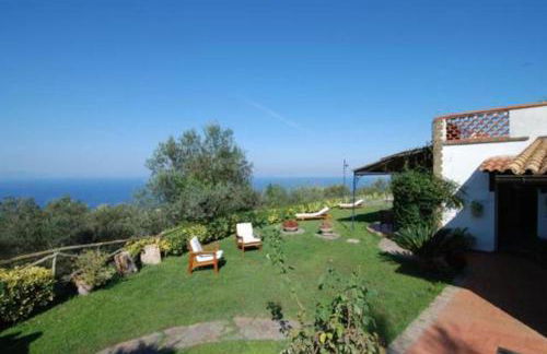 La Violetta - Photo 6