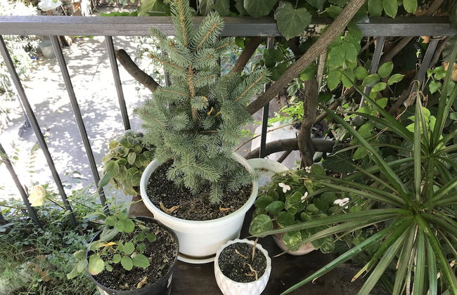 Talaveri Apartment in Old Tbilisi - Foto 36