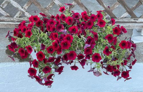 Appartamento BLU - Foto 17