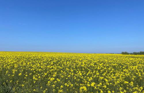 Ferienhaus Woody - Photo 15