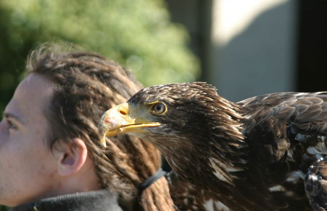 Living in the old Granary - Foto 22