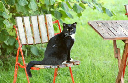 Forsthof Niendorf - Foto 12