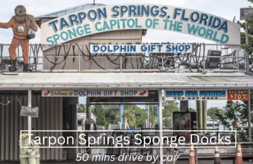 Walk to Downtown - 7min to beach - King bed & Free parking - Foto 65