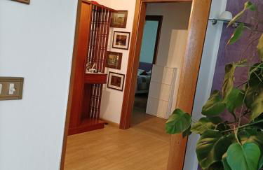 Residenza Ariete Vista Paganella - Foto 11