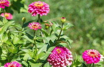 Tonina - private jacuzzi, free parking, terrace - Foto 24