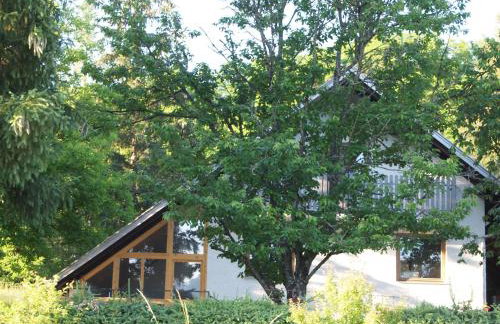 Forestside House Gacka with relax area - Foto 1