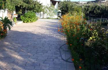 Level Houses - Foto 9