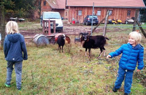 Ferienhof Idyll am kleinen Fließ - Foto 34