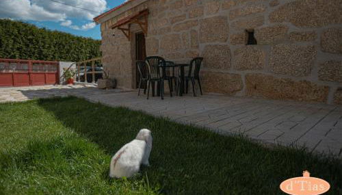 Casa das Tias - Foto 4