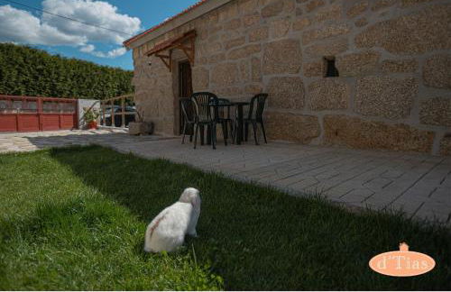 Casa das Tias - Foto 4