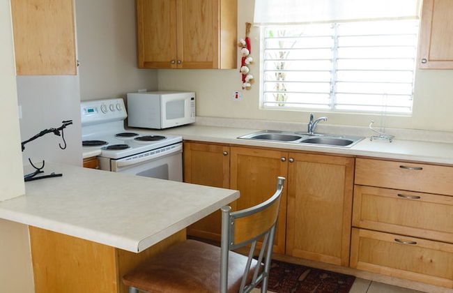 New Kingston Guest Apartment VII - Foto 11