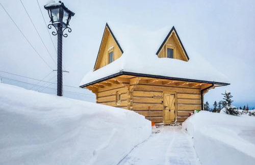 Domki Górskie Janosik, Kwicoł i Pyzdra Jacuzzi, Sauna - Photo 69