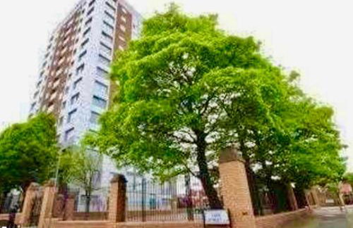 Spacious 3BR City Centre Apartment Free Parking - Photo 16