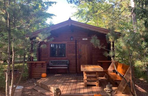 Honeybear Hideaway Cabin - Foto 26