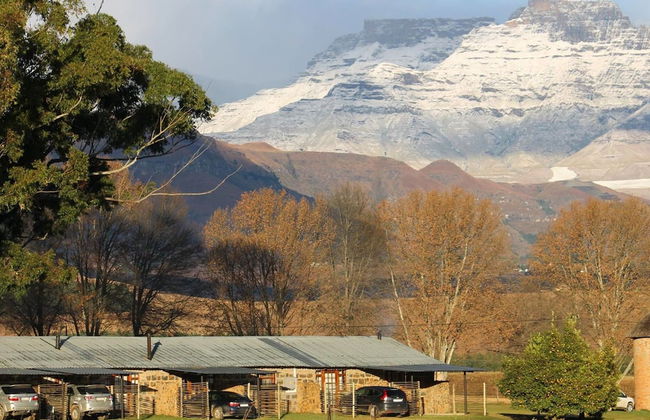 Ardmore Guest Farm - Photo 53