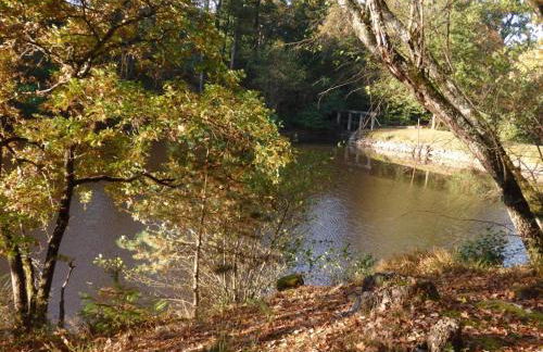 Gîte en pleine nature avec Wifi, animaux acceptés - FR-1-489-122 - Foto 30