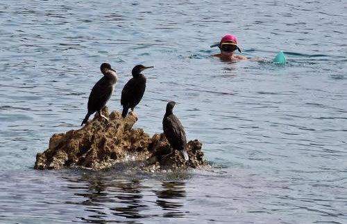SWIM and CLIMB BAŠKA HOLIDAY HOUSE - island KRK - Foto 71